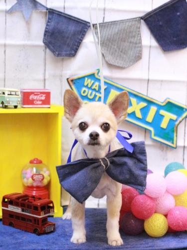 20230430チップくん